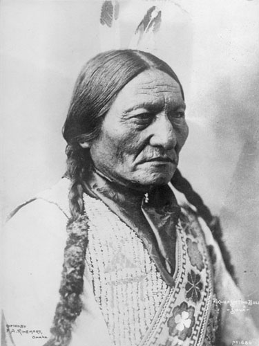 Fox Sitting Bull